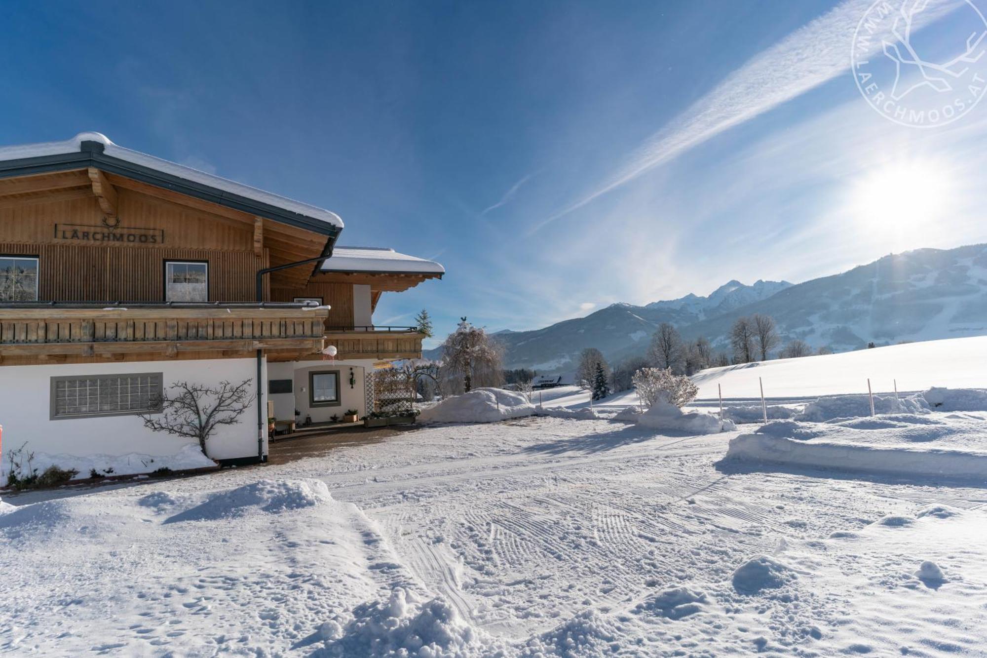 Appartements Laerchmoos Ramsau am Dachstein Dış mekan fotoğraf