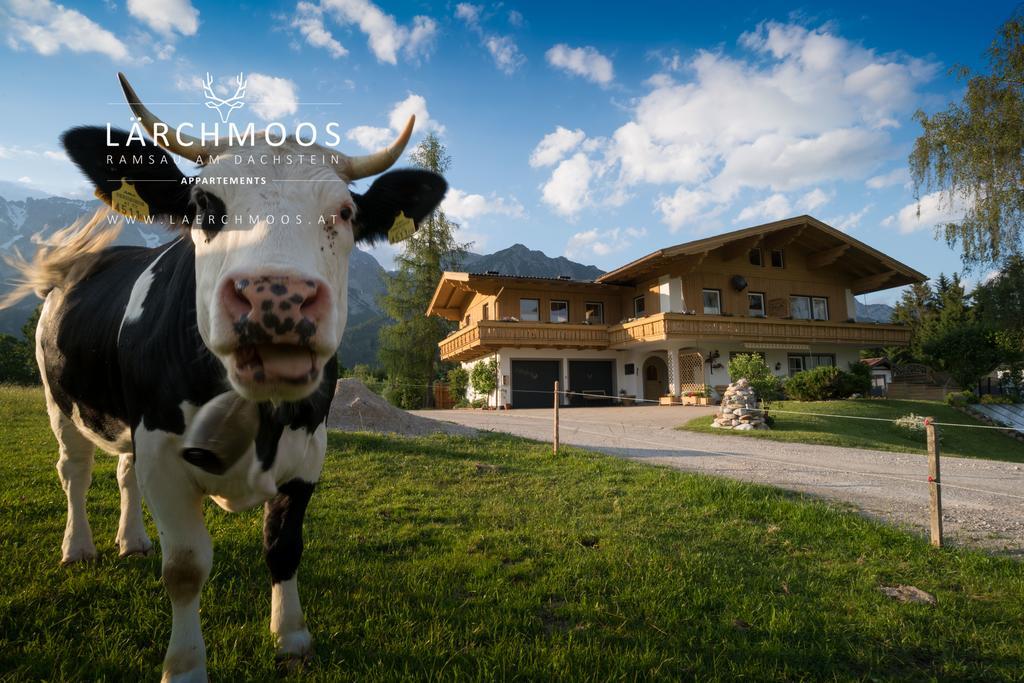 Appartements Laerchmoos Ramsau am Dachstein Dış mekan fotoğraf