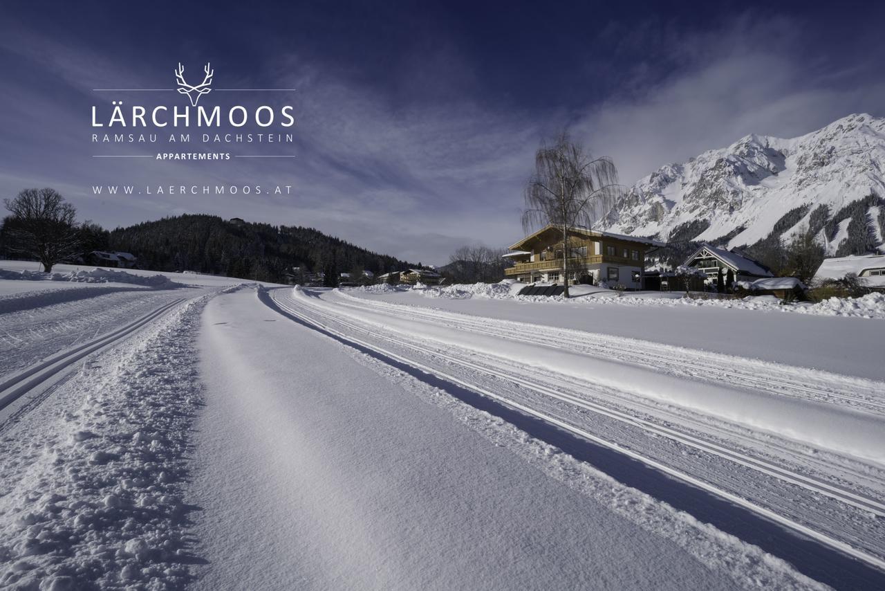 Appartements Laerchmoos Ramsau am Dachstein Dış mekan fotoğraf